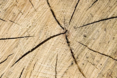 Chopped Wood Texture iPad Wallpapers