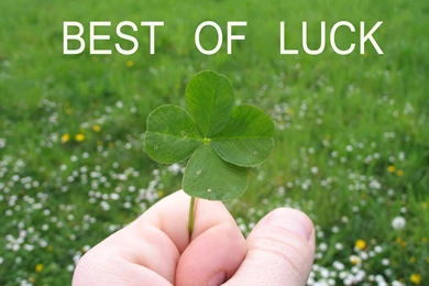 Best Of Luck, All The Best Wishes Greeting Cards Wallpapers Hd ...