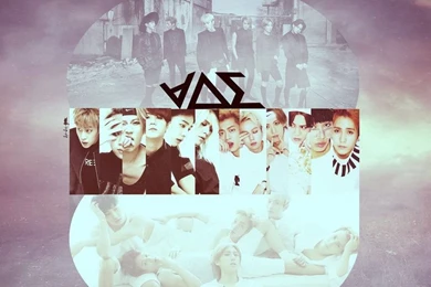 BEAST GOOD LUCK WALLPAPER By Dotdot bird On DeviantArt