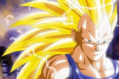 Vegeta Super Saiyan 3   Wallpaper.