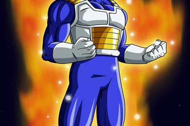 Dragon Ball Z Vegeta Super Saiyan God   Wallpaper.