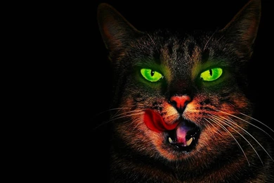 Witch's Guardian Angel >> HD Wallpaper, Get It Now!