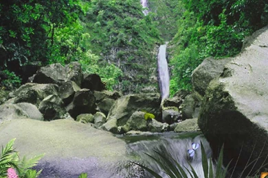 Wallpapers Bg Wallpapers Screensavers Tropic Waterfall