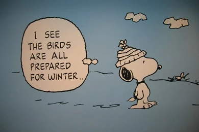 Snoopy HD Wallpapers For Mac   Cartoons Wallpapers