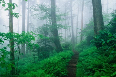 Appalachian Mountains Wallpapers And Pictures