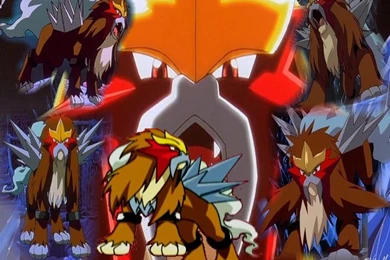 Entei Wallpapers By Lil baby phoenix On DeviantArt