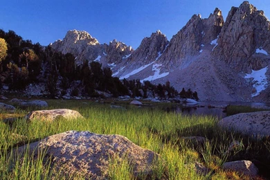 The Appalachian Trail (