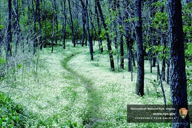 Appalachian Trail Wallpapers Buscar Con Google