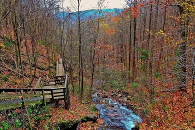 367) Dawsonville GA, Amicalola Falls SP   Appalachian Trail ...