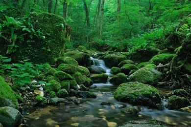 InterfaceLIFT Wallpaper: Silence