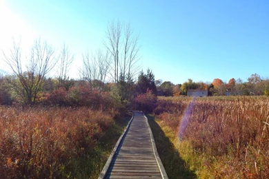 Those Who Wander: Stairway To Heaven   Appalachian Trail