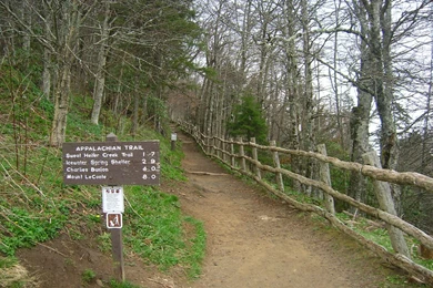 Appalachian Trail Georgia
