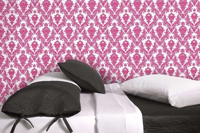 Temporary Wallpapers   Silver Damsel