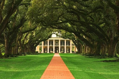 Nature Archives   Page 4 Of 5   HD Images New