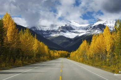 Free Subliminal Wallpapers