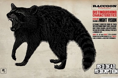 Red Dead Redemption Raccoon HD Desktop Wallpapers : Widescreen ...