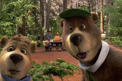 Text Animals Wallpapers 1920X1200 Text, Animals, Tigers, Typography ...