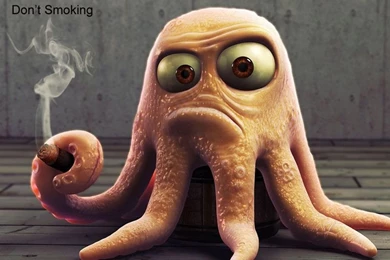 Top Funny Images   Desktop Backgrounds