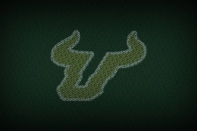 USF Unstoppable By TomTim90 On DeviantArt