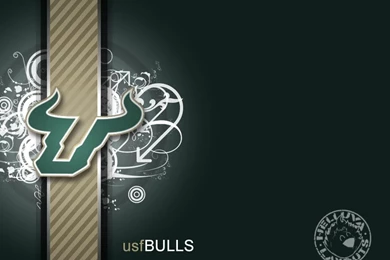 USF   Fancy Photo By HelluvaLayouts
