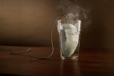 Best top funny wallpapers humor wallpaper pictures backgrounds 23 ...