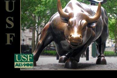 USF Alumni   Manatee Sarasota