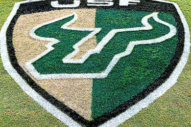 USF Bulls Soccer Shield (1)