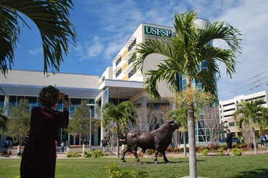 Installation Of The Bull On Harborwalk