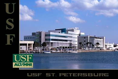 Kosove Society   USF Wallpapers