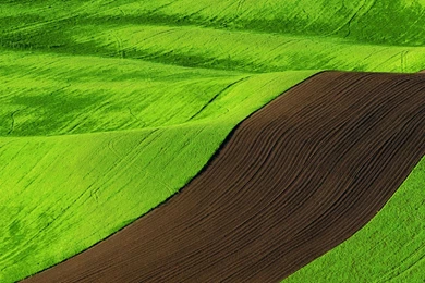 Windows 8 Rtm Full Set Of Lock Screen And Wallpapers Windows 8 ...