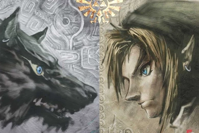 The Legend Of Zelda Twilight Princess Wallpapers   Wallpapers Cave
