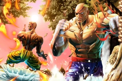 DHALSIM SAGAT WALLPAPER   (