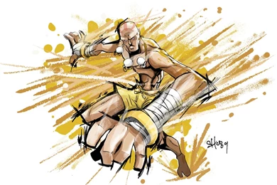 Tiger Knee!   Shoryuken