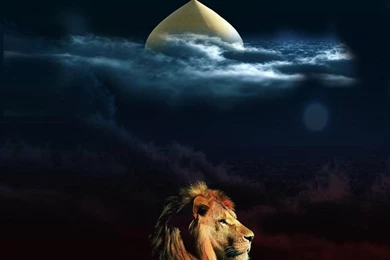 Imam Ali (a.s) Shrine Night Photo