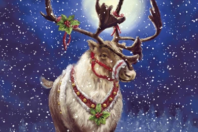 Rudolph Wallpapers   Wallpapers Cave