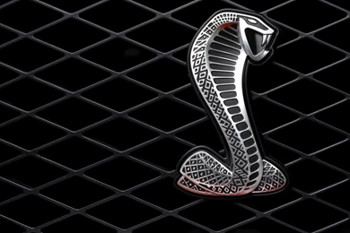 Cobra Wallpapers