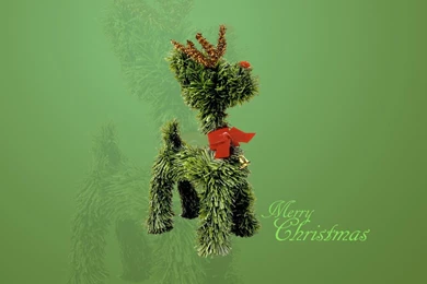 Free Rudolph Pine Wallpapers, Free Rudolph Pine HD Wallpapers ...