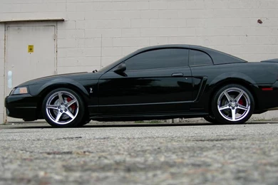 Ford Mustang Cobra Wallpapers   (