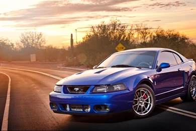 SVT Cobra HD Wallpapers