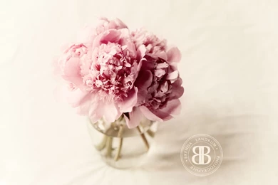 2012 February Desktop Wallpapers