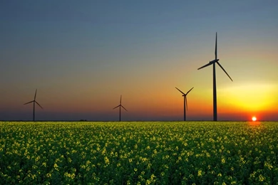 16 Lovely HD Windmill Wallpapers   HDWallSource.com