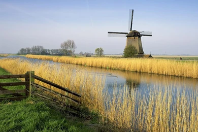 Photography   Page 13