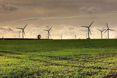 Windmill   Wallpaper.