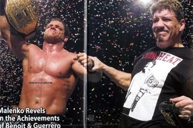 WORLD WRESTLING ENTERTAINMENT: American Professional Wrestler ...