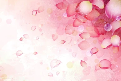 Rose Petals, Vector, 1920x1200 HD Wallpapers And FREE Stock Photo
