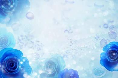 Blue Rose Backgrounds   Wallpapers Cave