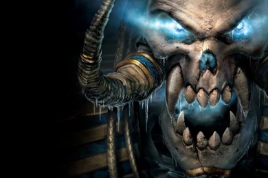 World Of Warcraft Undead Lich King Frozen Throne