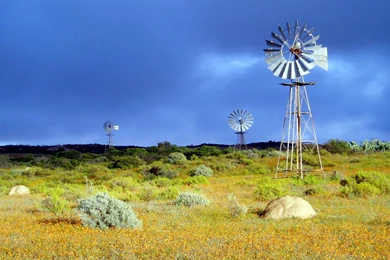 Windmill Wallpapers WLI201