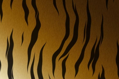 Tiger Fur Wallpapers   Digital Art Wallpapers