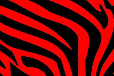 Zebra Print Wallpapers   Best Car 2015